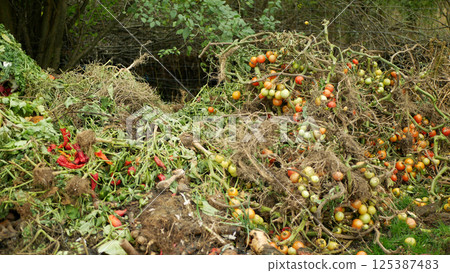 Compost vegetable bio farm autumn rotten tomato pepper lettuce cabbage pile mold fungi ecology farming waste food organic rot rust vegetables plant Europe Compost vegetable bio farm autumn rotten tomato pepper lettuce cabbage pile mold fungi ecology farming waste food organic rot rust vegetables plant Europe 125387483