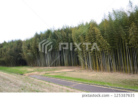 辰野口水岸公園 2025-4-12 #32 125387635