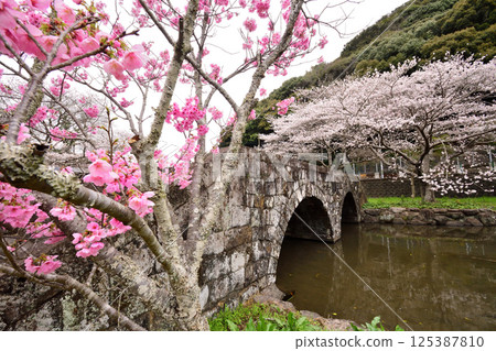 長崎縣波佐見町日野尾眼鏡橋 125387810