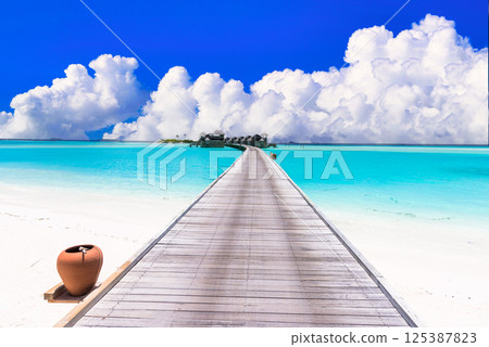 印度洋美麗的珊瑚礁海 125387823