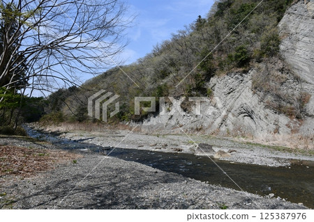 Play on the riverbank surrounded by nature 125387976