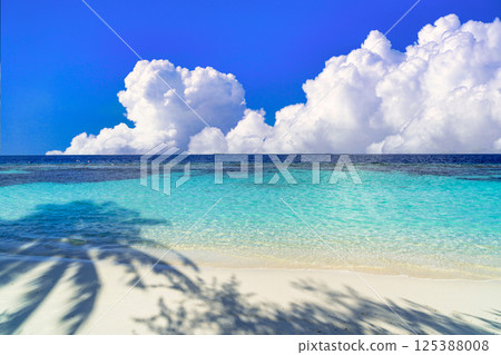 Beautiful coral reef sea in the Indian Ocean 125388008
