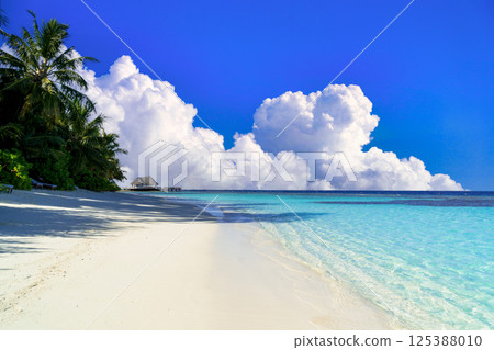 Beautiful coral reef sea in the Indian Ocean 125388010