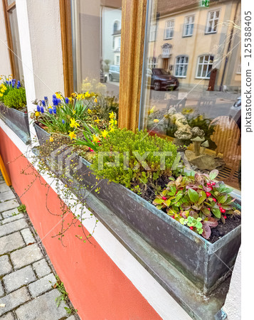 Window box full of blooming spring flowers on city street with reflection. High quality photo Window box full of blooming spring flowers on city street with reflection. High quality photo 125388405