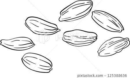 Carrot Seeds Outline Illustration. 125388636