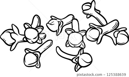 Clove Seeds Outline Illustration. Organic natural nutritional spice. 125388639