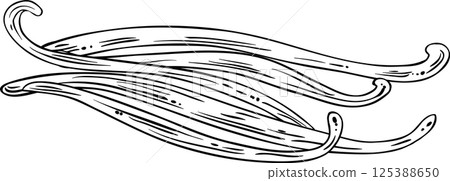 Vanilla Sticks Isolated Outline Illustration 125388650