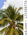 Sky looked up 125388774