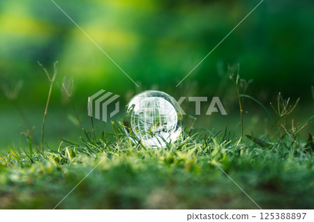 environmental concept, Glass globe on the grass in the morning 125388897
