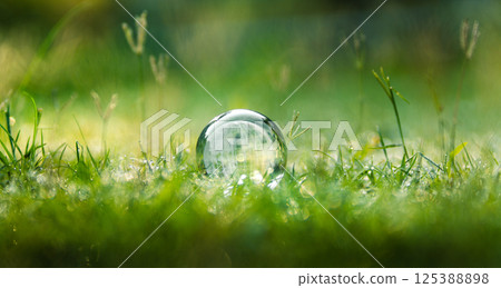 environmental concept, Glass globe on the grass in the morning 125388898