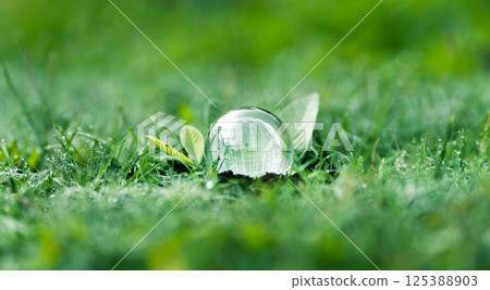 Sustainable environment and nature conservation concept. Glass globe on grass with leaves. Background for global environment. 125388903