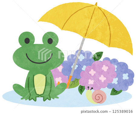 雨季繡球花和青蛙圖示插圖 125389016