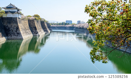 Osaka Castle in spring: South Outer Moat and Sixth Turret surrounded by cherry blossoms Osaka Castle in spring: South Outer Moat and Sixth Turret surrounded by cherry blossoms 125389256