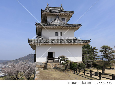 Spring Cherry Blossom Festival at Marugame Castle's west side (entrance side) Spring Cherry Blossom Festival at Marugame Castle's west side (entrance side) 125389350