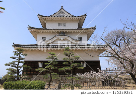 Marugame Castle Keep in Spring, Cherry Blossom Season 125389381