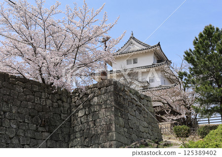 春季：丸龜城櫻花盛開 125389402