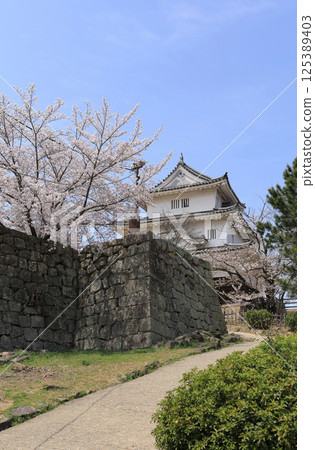 春季：丸龜城櫻花盛開 125389403