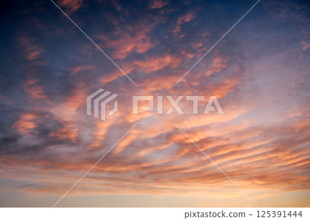 Pink sunset sky on twilight 125391444