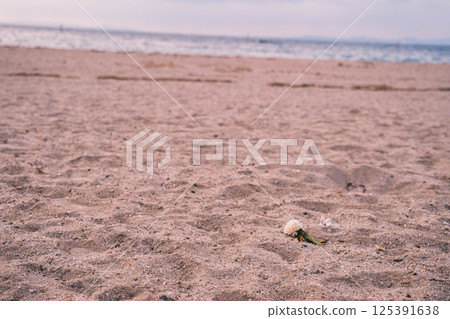 [錦浜] 美麗的海灘 125391638