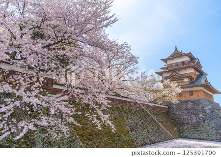 高島城，櫻花盛開，櫻花暴風雪[長野縣詰訪市] 125391700