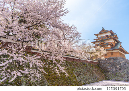 高島城，櫻花盛開，櫻花暴風雪[長野縣詰訪市] 125391703