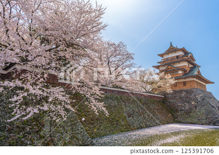 高島城，櫻花盛開，櫻花暴風雪[長野縣詰訪市] 125391706