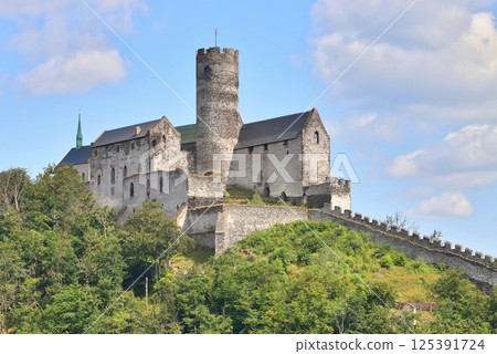 Very old Bezdez castle in Czech republic Very old Bezdez castle in Czech republic 125391724
