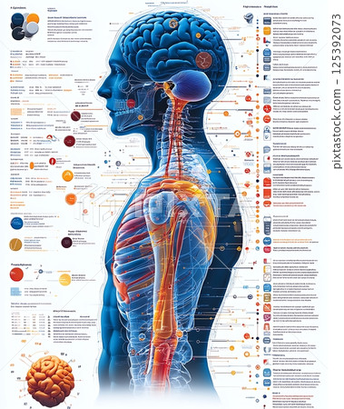 bright color infographic of pain relief methods, therapy comparison visual 125392073