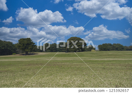 常陸那珂海灘公園 常陸那珂海灘公園 125392657