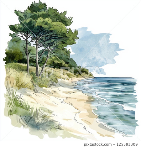 Curonian Spit. Curonian Spit hand drawn watercolor illustration Curonian Spit. Curonian Spit hand drawn watercolor illustration 125393309