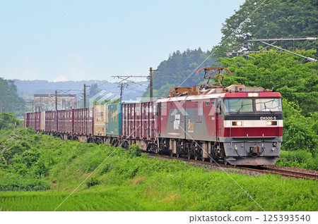東北幹線白坂豐原 JR Freight EH500-5（仙台） 125393540