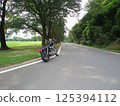 Fresh green tree-lined road and bikes 125394112