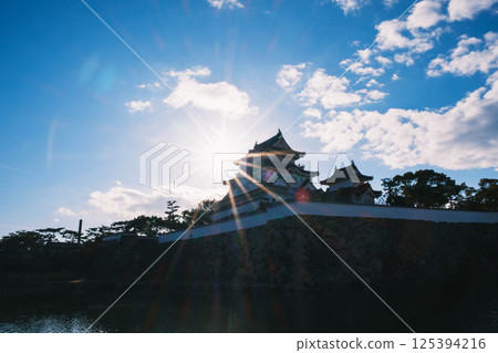 [Kishiwada Castle] The dazzling sunlight and the castle tower 125394216