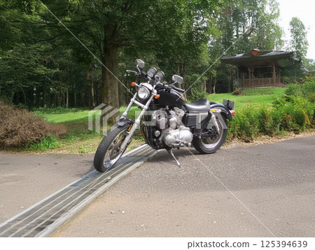 森林遊覽期間的休息 125394639