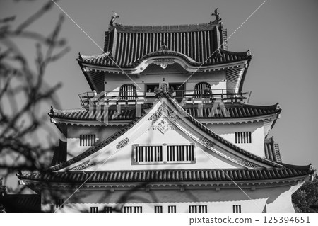 【岸和田城】歷史悠久的城堡風景 125394651