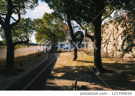 [Kishiwada Castle] Historic castle scenery 125394656