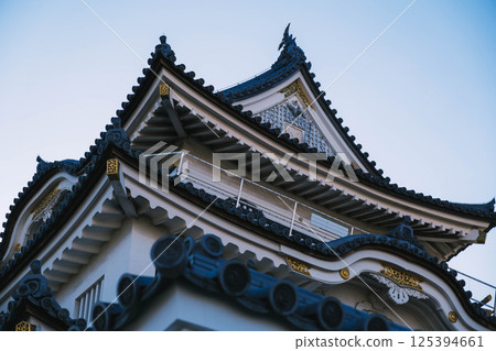[Kishiwada Castle] Historic castle scenery 125394661