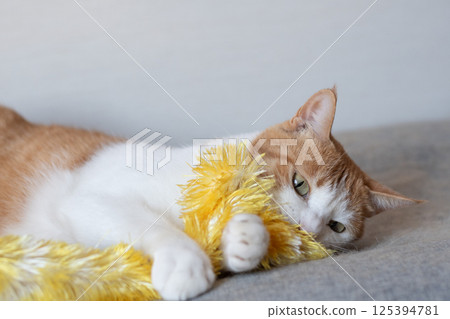 一隻貓在玩玩具棕色老虎白色 125394781