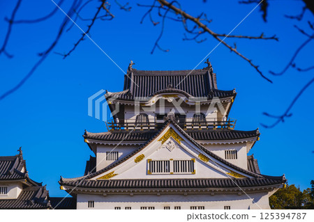 [Kishiwada Castle] The appearance of a castle with a long history 125394787