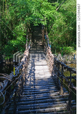 Kazurabashi Bridge in Shikokumura, Takamatsu-2 125394867