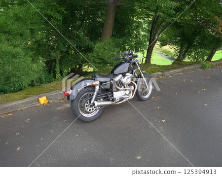 一輛摩托車穿過綠色隧道 125394913
