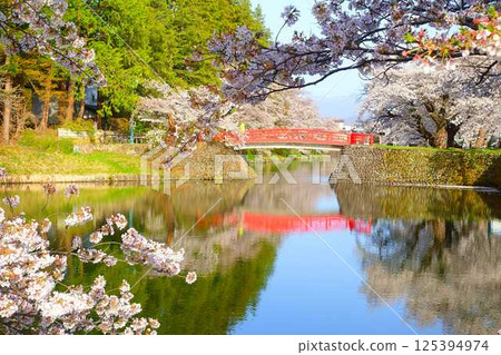 櫻花盛開,花筏,松崎公園,櫻花,櫻花,染井吉野櫻花樹 櫻花盛開,花筏,松崎公園,櫻花,櫻花,染井吉野櫻花樹 125394974
