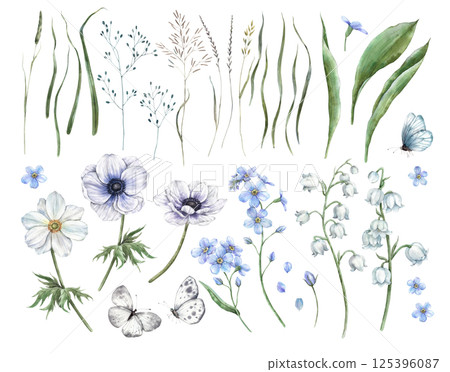 Anemone flowers, blue forget-me-nots, delicate lotuses, green blades of grass and leaves, wild flowers. Botanical set for holidays and wedding industry, various packaging and cards, textiles. 125396087