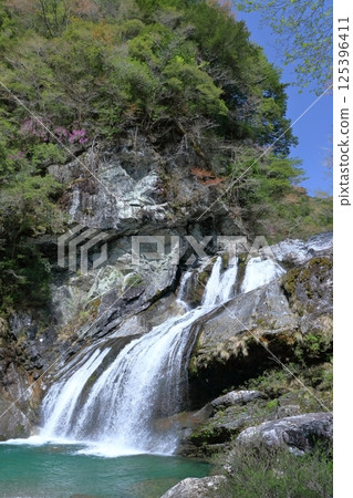 雨瀑布：春季（高知縣土佐町瀨戶川谷） 125396411