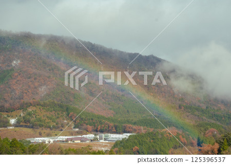 Rainbow Rainbow 125396537