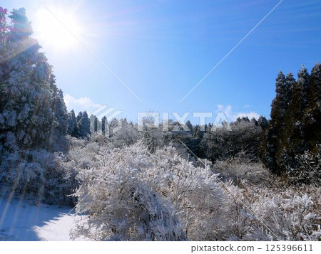 阿甦的冬日風景:冰霜森林(熊本縣) 阿甦的冬日風景:冰霜森林(熊本縣) 125396611
