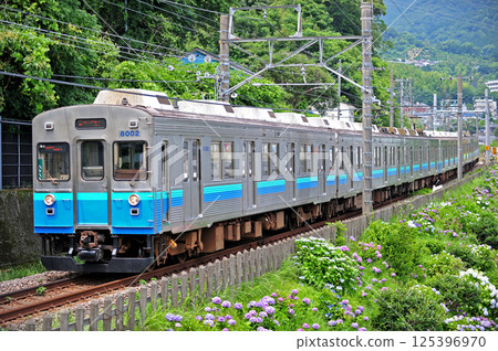 伊東線 網代-伊豆-多賀 伊豆急 8000 系列 TB2 編組 伊東線 網代-伊豆-多賀 伊豆急 8000 系列 TB2 編組 125396970