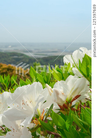 Higashi Mikawa Furusato Park Observation Deck 125397689