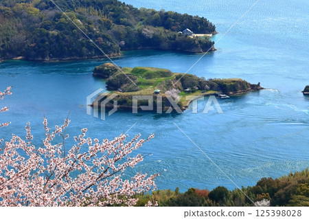 [Ehime Prefecture] Cherry blossoms in spring as seen from Kareiyama Observatory Park (Noshima and Ushima) 125398028