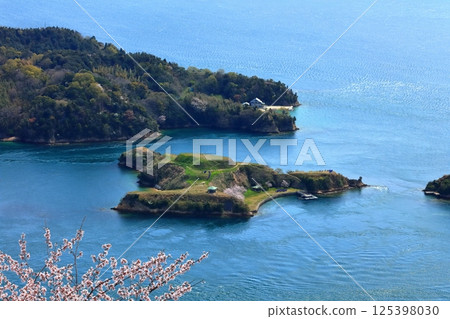 [Ehime Prefecture] Cherry blossoms in spring as seen from Kareiyama Observatory Park (Noshima and Ushima) 125398030